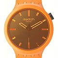 Swatch SB05O102