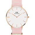 Часы Daniel Wellington Petite Dover DW00100360
