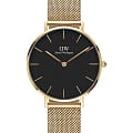 Часы Daniel Wellington Petite Evergold DW00100347