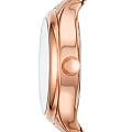 Fossil BQ1561