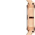Часы Daniel Wellington Iconic Link DW00100210 фото 4