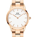 Часы Daniel Wellington Iconic Link DW00100209