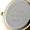 Часы Daniel Wellington Petite Evergold DW00100350 фото 4