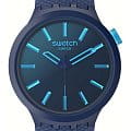 Swatch SB05N113