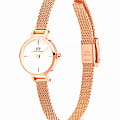 Часы Daniel Wellington Petite Mini Champagne Melrose DW00100744 фото 3