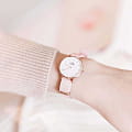 Часы Daniel Wellington Petite Dover DW00100317 фото 2