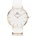Часы Daniel Wellington Petite Dover DW00100311