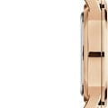 Часы Daniel Wellington Iconic Link DW00100343 фото 4