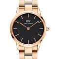 Часы Daniel Wellington Iconic Link DW00100210