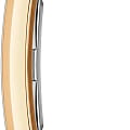 Часы Daniel Wellington Bound Crocodile Champagne Sunray Gold DW00100695 фото 3