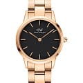 Часы Daniel Wellington Iconic Link DW00100212